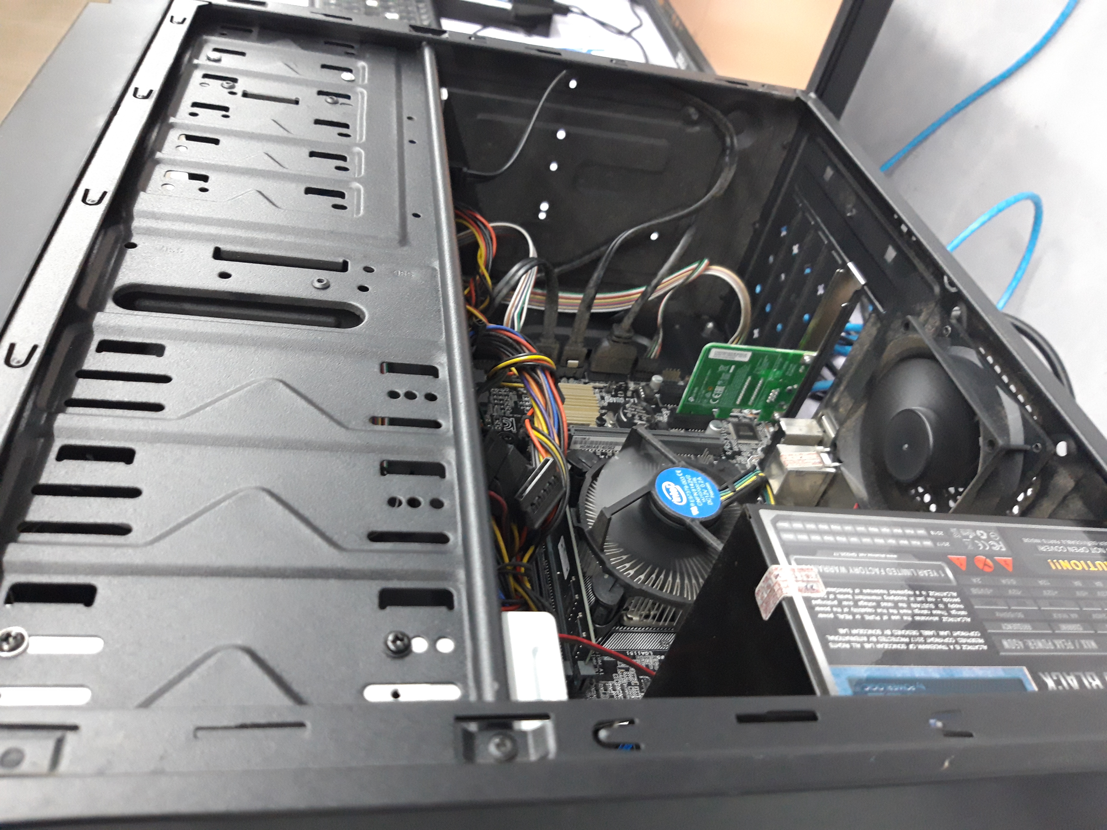 sally lightfoot crab